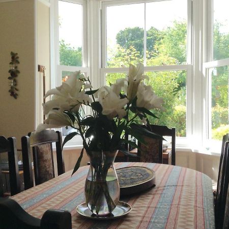 וולינגטון Hyacinth Bed & Breakfast מראה חיצוני תמונה