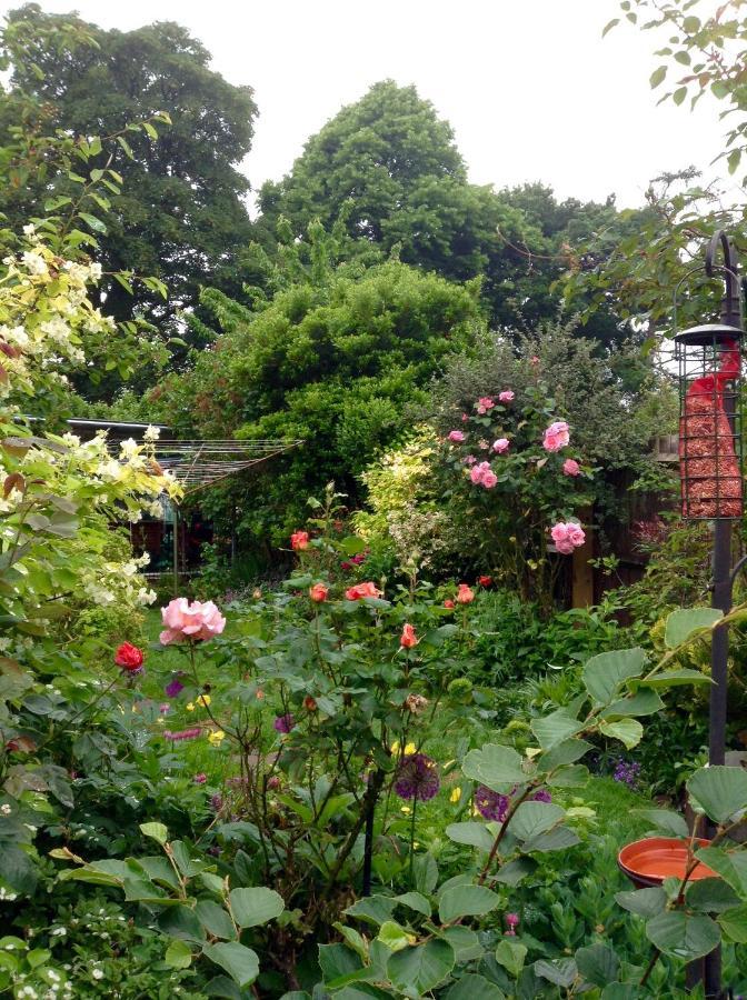 וולינגטון Hyacinth Bed & Breakfast מראה חיצוני תמונה