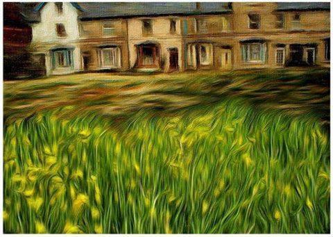 וולינגטון Hyacinth Bed & Breakfast מראה חיצוני תמונה