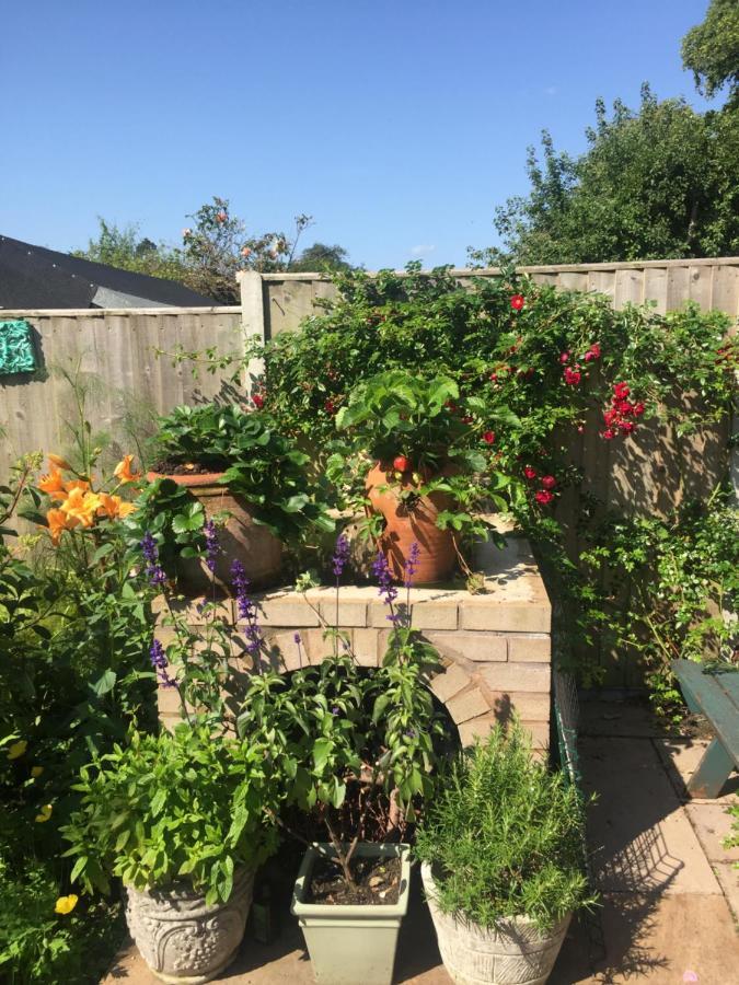 וולינגטון Hyacinth Bed & Breakfast מראה חיצוני תמונה